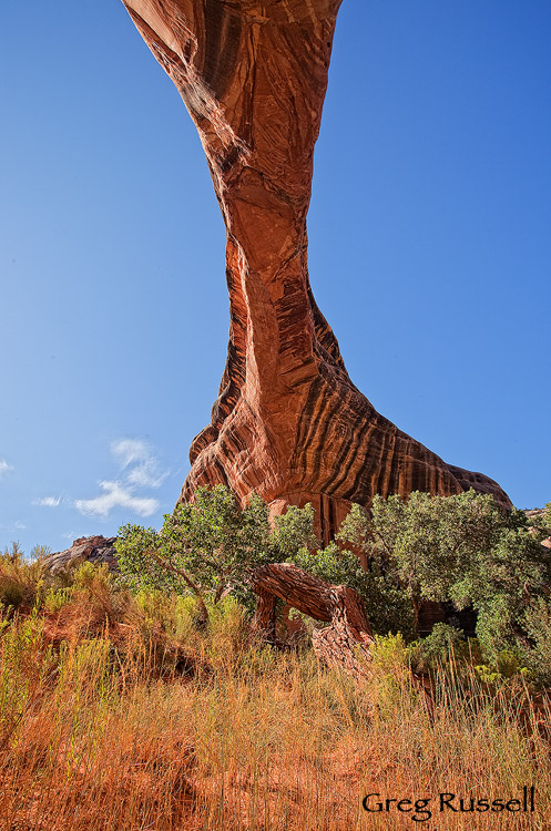 sipapu bridge is the second largest natural bridge in the world