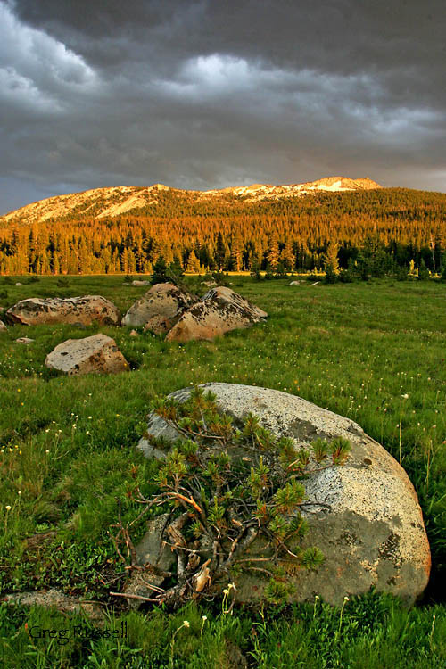 yosemite icon; Yosemite National Park; Yosemite Photo; yosemite scene; tuolumne meadows; cathedral range; tioga pass; sunset photo; summer sunset; john muir 