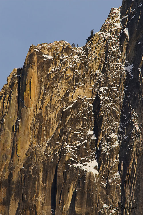 yosemite icon; Yosemite National Park; Yosemite Photo; yosemite scene; winter photo; winter scene; granite; half dome; granite detail; abstract image; yosemite valley; john muir 