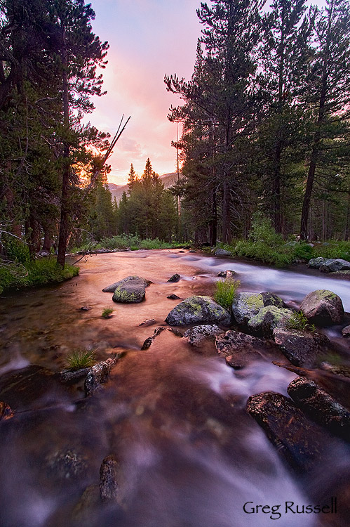 lyell fork of the tuolumne river