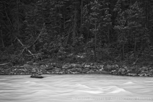 The North Saskatchewan River flows through Banff National Park