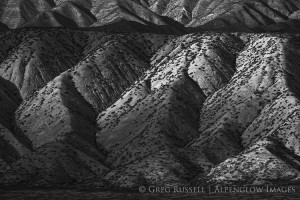 a dappled hillside, carrizo plain