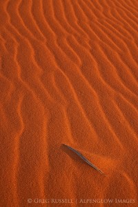 coral pink sand dunes