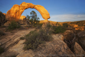 photograph of a sunlit arch surrounded by piñon and juniper trees at sunset in the four corners region of northern New Mexico