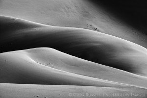 sand dunes and shadows