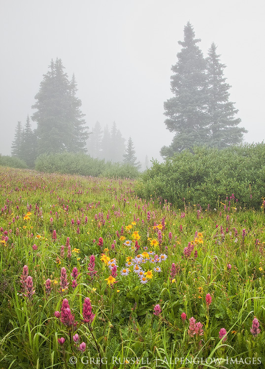 engineer mountain colorado