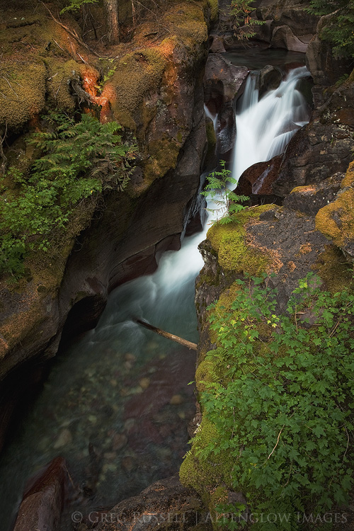 Avalanche Creek, Glacier National Park, Montana