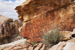 photograph of rock art and wildflowers in Nevada's Gold Butte National Monument