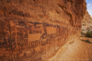 photograph of bighorn sheep pictographs in Nevada's Gold Butte National Monument
