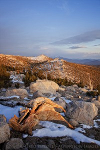 Golden Trout sunset