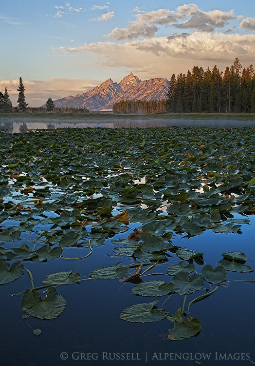 sunrise at heron pond in grand teton national park