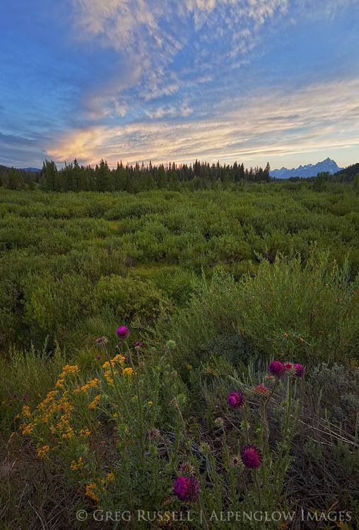 Sunset on Pacific Creek, Grand Teton National Park, Wyoming