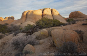 photograph of sunset at jumbo rocks in joshua tree national park