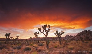 colorful stormy sunset