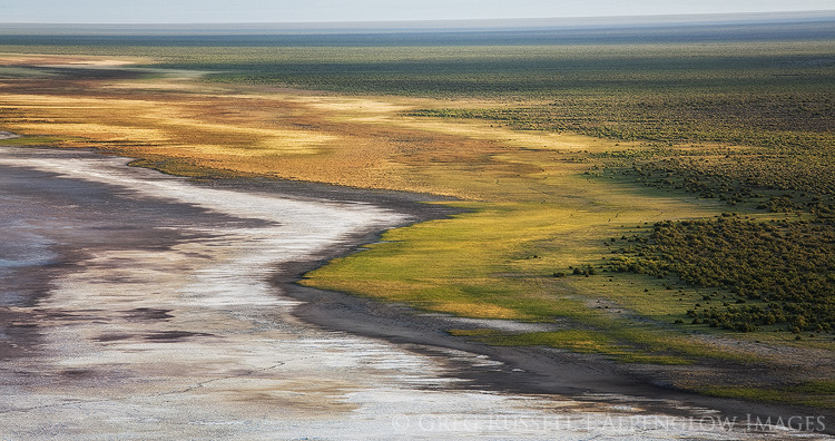 dry lakebed in the monitor valley nevada