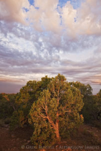 navajo national monument sunrise