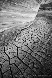 dried mud on the paria river