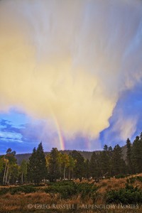 fall aspens and rainbow at sunset