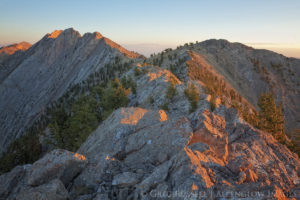 currant mountain nevada