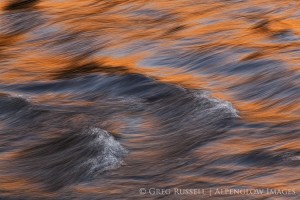 reflected light in the Merced River