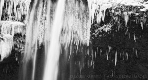 seljalandsfoss