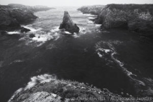 mendocino headlands state park california