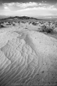black and white photograph of a small sand dune and the Ship Mountains in Mojave Trails National Monument off in the distance