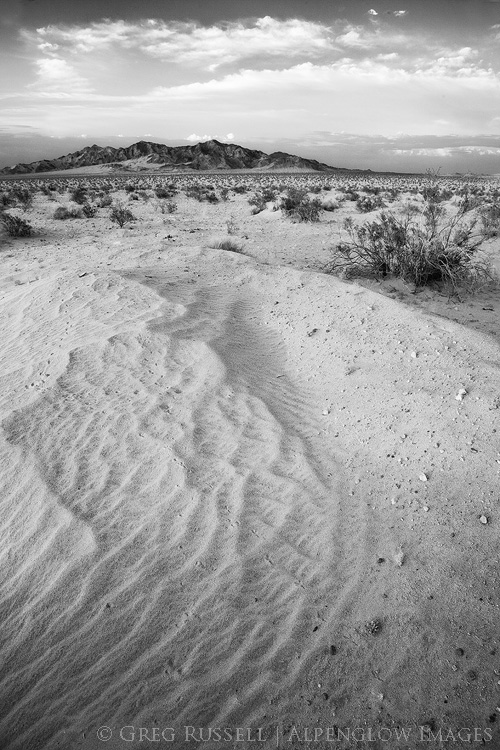 black and white photograph of a small sand dune and the Ship Mountains in Mojave Trails National Monument off in the distance