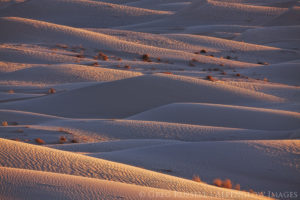 Photo of the cadiz valley sand dunes late in the day; alternating dark and light layers show the peaks and valleys of the dunes