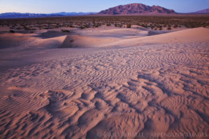 photo of the ship mountains in mojave trails national monument at sunset with the cadiz valley sand dunes in the foreground. The sky is a dark blue color and the dunes are reflecting the pink sky