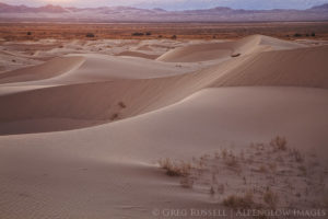 photo of cadiz valley sand dunes at sunset. The sun is setting on the mountains in the background, backlighting the dunes and vegetation growing out of them.