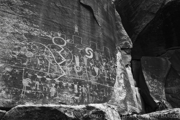 A large petroglyph panel with anthropomorphs and animal depictions