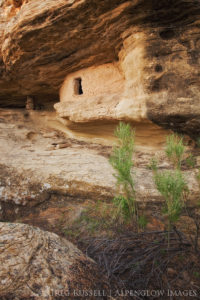 a small Navajo (Diné) granary nestled into an alcove in northwestern New Mexico